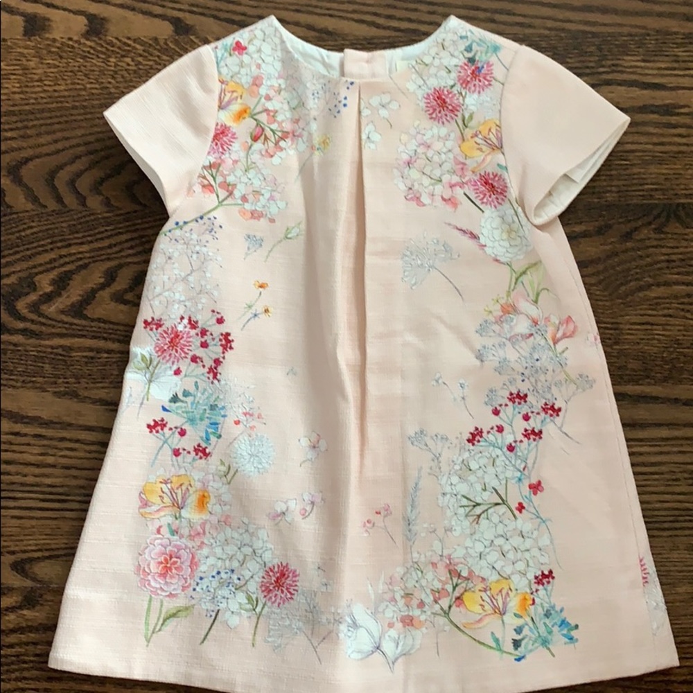 Zara baby girl a-line dress pale pink floral 18mo